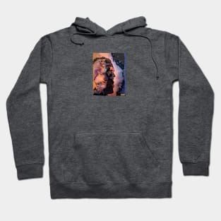 The Universal Ponderer. Hoodie